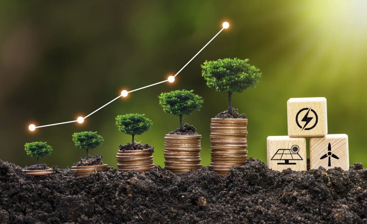 mercado-livre-de-energia